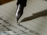Freelance Content Writer