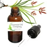 Buy Cypress Essential Oil Wholesale  Essentialoilcompany. in