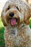 GPS NavigationSecurity 4 your pets and home smart devices