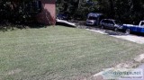 ..Surrounding areas Tree cuts junk removal furniture move cut bu