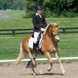 Cessna Stables LLC