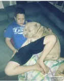 Looking to rehome family dog with land