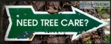 Ways to Support Your Trees with Tree Service Vallejo