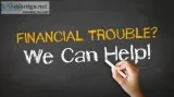 CREDIT REPAIR and IMMIGRATION CONSULTANT