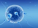 IVF Doctor in Tolichowki &ndash IVF centre in Tolichowki Hyderab