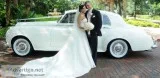 Different occasions to hire a limo