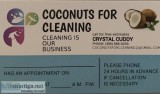 coconuts for cleaning