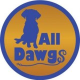 Best Albany Dog Training Services
