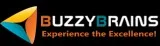 Web Application Development Company India-Buzzybrains