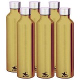 Stainless Steel Water Bottle (Gray) Set of 6