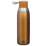 Stainless Steel Water Bottle (Brown) Single
