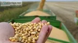 Understanding the Transformation of Agriculture with John Deere 