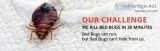 Our treatment provides complete removal of the parasites