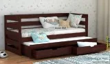 Browse Kids Bed in Noida For Living Room at Wooden Street
