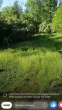 Pals of Beauty (lawn care service)