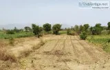 50 gunthe open land highway touch for Wholesale