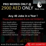 Pro service in dubai