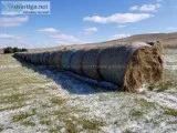 150 Round Hay Bales