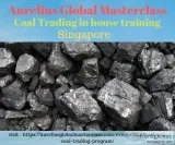 Coal Trading in house training