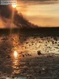 Nicaragua Duck and Dove Hunting - Gage Outdoor Expeditions