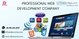 Professional web development company