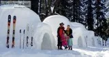 Shimla Manali Tour Package from Delhi