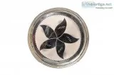 Nutristar Silver Coated Plates. Diameter  11 Inch