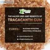 The Major Uses and Benefits of Tragacanth Gum