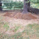 FREE DIRT