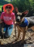 German Shepherd Male 2 years