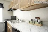 The Village Apartments