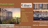 Prateek Canary  Home that makes you feel comfortable