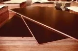 Best Shuttering Plywood Manufacturer
