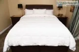 Downia All Season White Goose Down Duvet