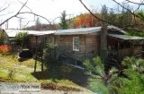 3 Bed 2 Bath with 1.51 Acres and Huge 1800sqft Garage  Greenhous