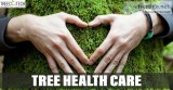 Tree Health Care Service in Mumbai by Treecotech