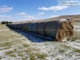 150 Round Hay Bales
