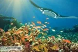 hotels in port blair