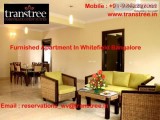 Reasons Why You Should Go For Serviced Apartments Bangalore