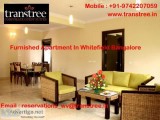 Try Furnished Apartments To Experience Something New