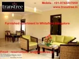 Try Furnished Apartments To Experience Something New
