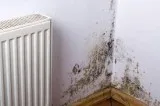 Damp Waterproofing Services  Damp Waterproofing Solutions