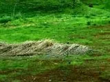 plot for sale-Mumbai South