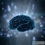 Neurology Clinical Services in Hyderabad