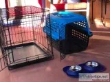 Ultimate Puppy Starter Kit (Metal Crate Travel Crate and Bowls)