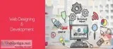 Website Designing in Hakikat Nagar