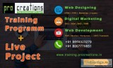Best Web Designing Digital Marketing SEO Courses Training Nagpur