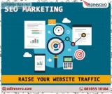 Search Engine Optimization