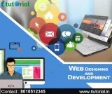 Online Web Designing and Development Company in Noida