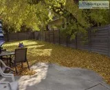 LEAF and FALL CLEAN UP